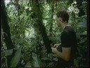 PANA JUNGLA PANA JUNGLA