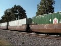UP 4807 and CP 8734 Lead The Chicken Eastbound