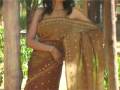 videos de Brown Pure Mysore Georgette Saree with Blouse