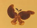 あんなに一緒だったのにby寄生虫