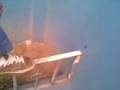 videos de Viuda negra