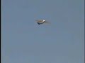 Electric Flying Bird