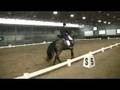 Freestyle Premium Stallion sire Florestan I