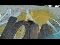 Ant Art Ant Art