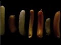 corn dog