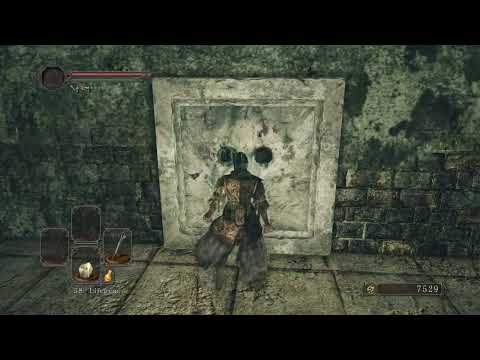 Titanite Shard x 3 and Ring of Steel Protection+1