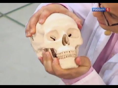 Какого цвета одежду нужно выбирать для тренировок - Фитнес Как лечить десны после удаления зуба : метрогил дента