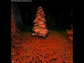 Realtime raytracing with sparse voxel octree