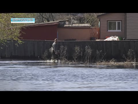 Добруш почти ушел под воду видео