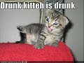 very-funny-cats-no4.html