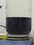 Oscillating Chemical Reaction (Belousov-Zhabotinsky)