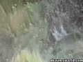 cliff bike