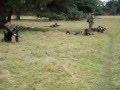 Army Cadet Force - Combat Cadet