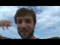 See Video
