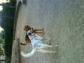 Greg e Filippo che giocano