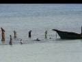 videos de Zanzibar