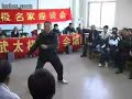 Hunyuan Taijiquan 24
