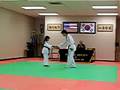 TKD green to blue tip