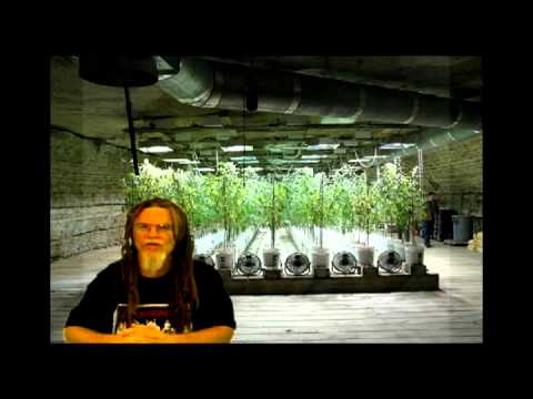 how to grow good weed