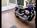 Honda Black Widow con colas de Sportster 883