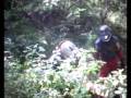 videos de Finca Porton