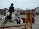 Gibier Bray en Val c3p Gibier Bray en Val c3p