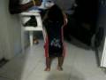videos de happy feet