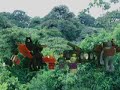 Dry Wars Saga! Dry Wars Saga!