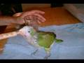 videos de PRECIOUS