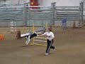Duchess - Dog Show USA