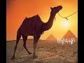 Arabic Instrumental Music