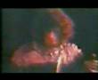 Queen - Modern Times Rock n Roll & Son and Doughter