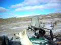 videos de Viaje al buzón del correo 2