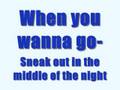Nothing Like Me *READ DESCRIPTION*