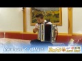 Reinhard CA Hartl auf der steirischen Müller Harmonika.avi