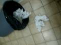 can,garbage,