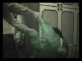 Nasone Live Show Trailer Nasone Live Show Trailer