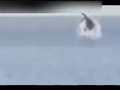 jumping-sea-creature