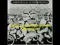 Rattlesnakeplumcake - Amon Düül II (1975)