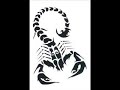 kizito-scorpion noir