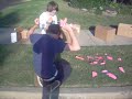 The Pink Scooter, diff.ending