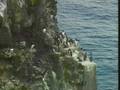 videos de The Wildlife and Scenery of Europe  Part 06