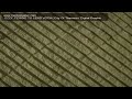 OZZY, FERGIE TO LEND VOCAL'City Of Thamesis' Digital Graph.mov