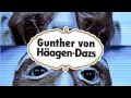 Gunther von Häagen-Dazs