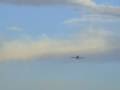 PIPER PA-25 PAWNEE