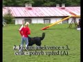 Postupov� zkou?ka Tanec se psem 1