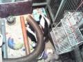 Kitt Shed - Panasonic BL-C111 (2-24-2010 01h37m).avi