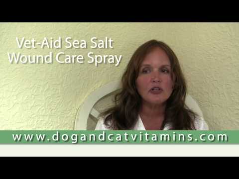 how to treat hotspots on dogs