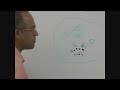 USMLE Step 1 - Immunology Lecture - T Helper cells and B cells 2/10