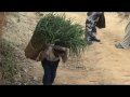 V�deo Resumen